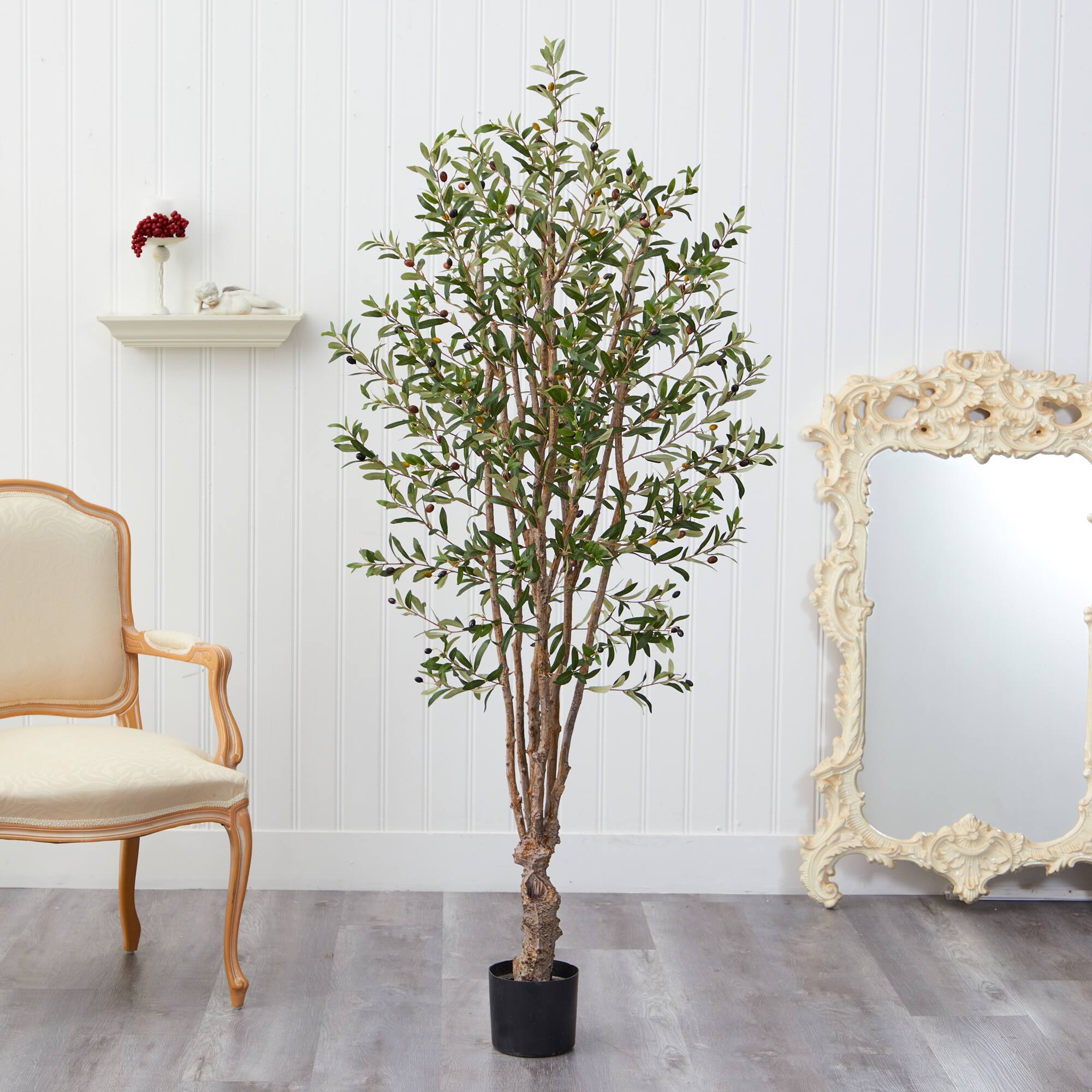 5ft. Potted Olive Tree